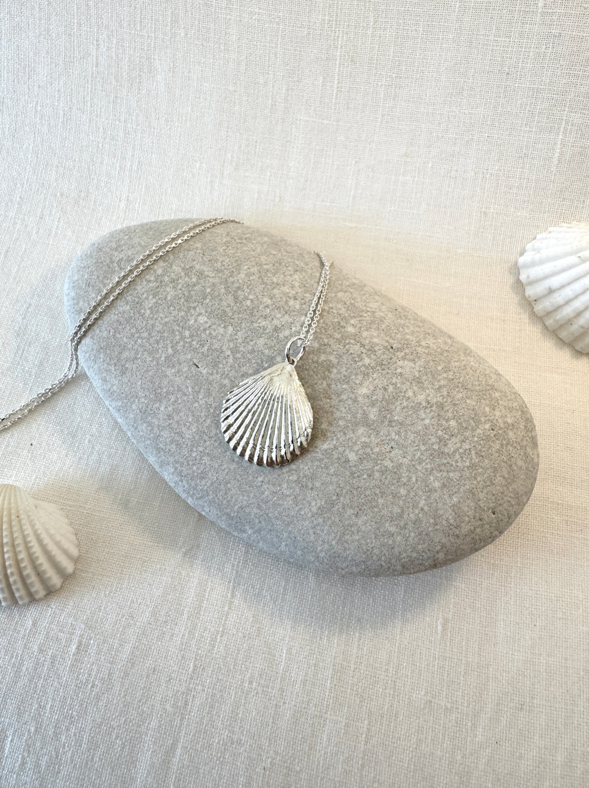 Seashell Pendant