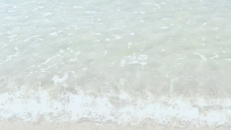 Sea Treasure