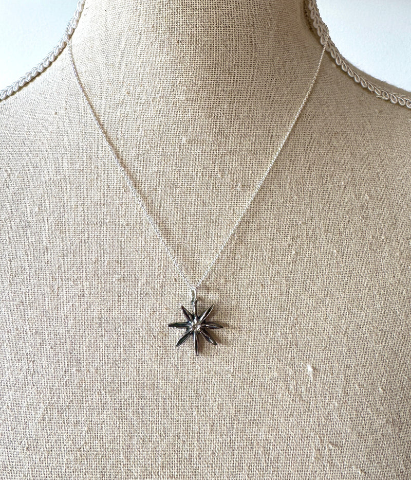 Star Anis Pendant